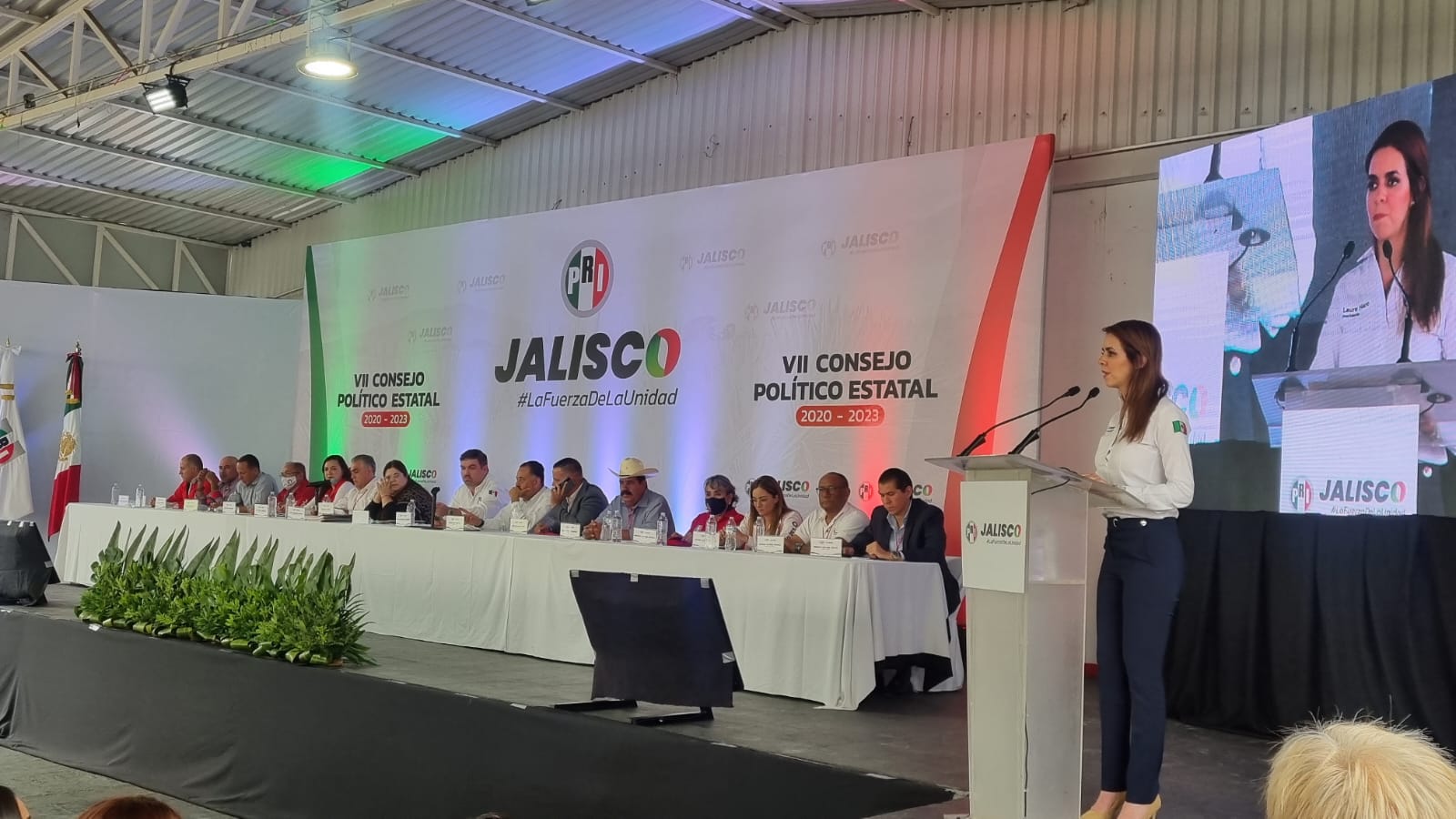 msj_consejo2.jpeg